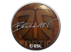 Brollan | Rio 2022 image